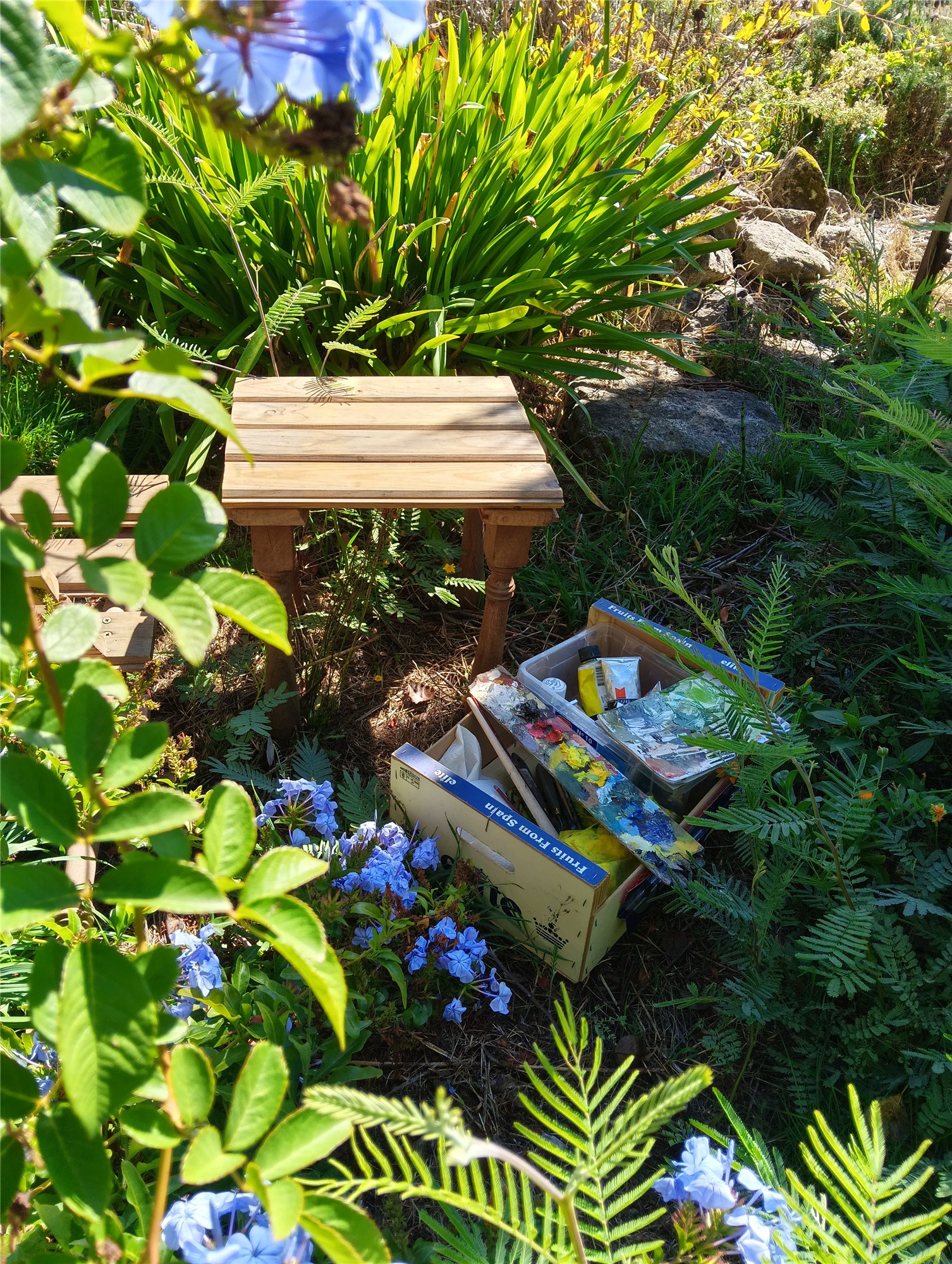 Materiales de pintura dispuestos junto a una mesa entre plantas
